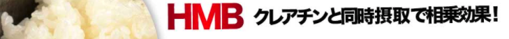 スクリーンショット 2017-03-19 13.00.17