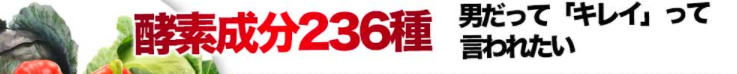 スクリーンショット 2017-03-19 13.02.55
