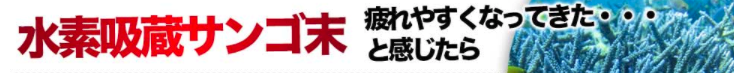スクリーンショット 2017-03-19 13.03.14