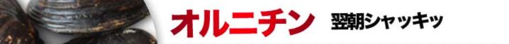 スクリーンショット 2017-03-19 13.04.01