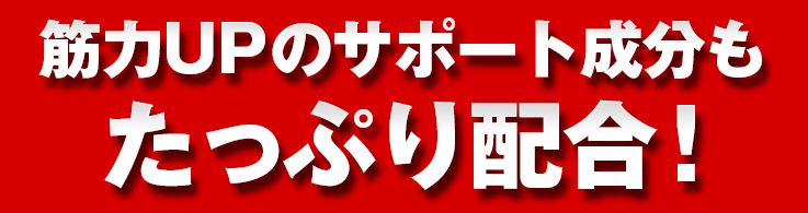 HMBメタルマッスル口コミ