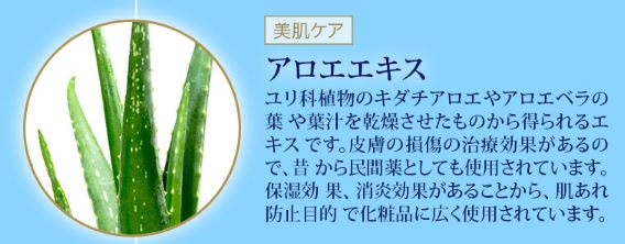 デリーモ口コミ