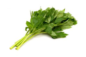 shutterstock_178984076
